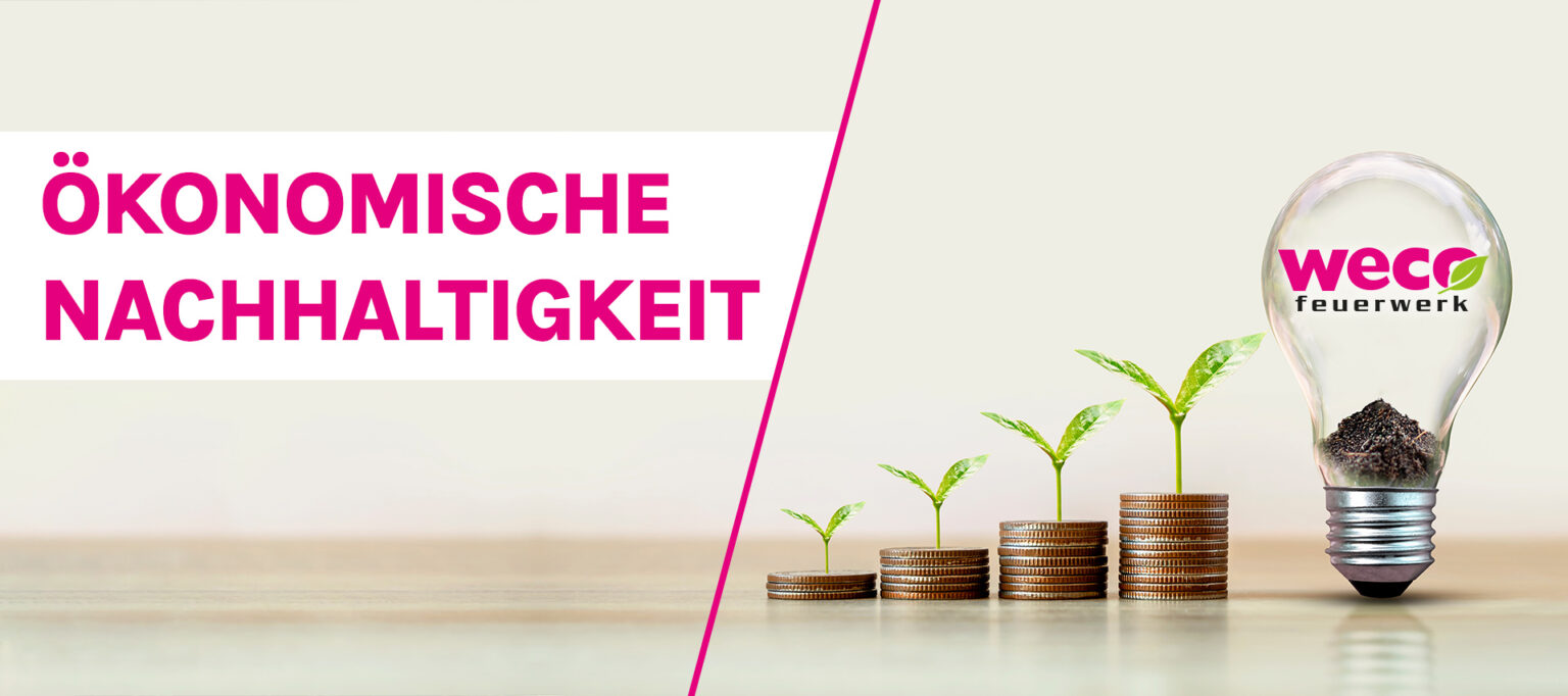 Ökonomische Nachhaltigkeit Weco
